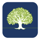 WhiteOak Capital Large Cap Fund